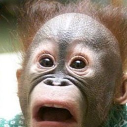 Артём, Москва