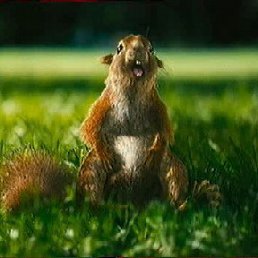 Виталий, Киев