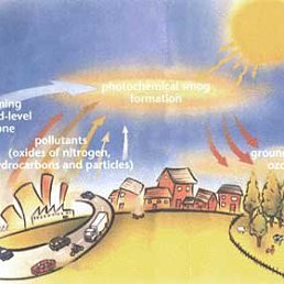 Диман, Москва