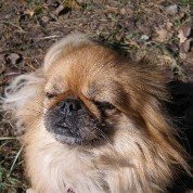 Человек, Москва