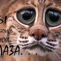 Алёна, Москва