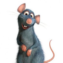 Стелла-из, Санкт-Петербург