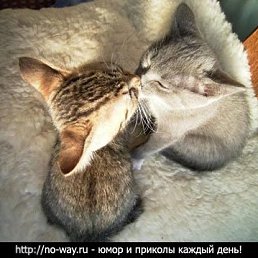 Аня, Санкт-Петербург