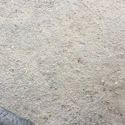 Ангелина, Киев