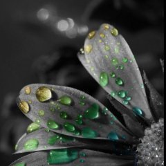 Татьяна, Москва