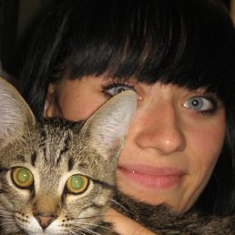 Ангел, Карталы