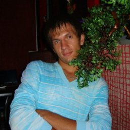 Ярик, Санкт-Петербург