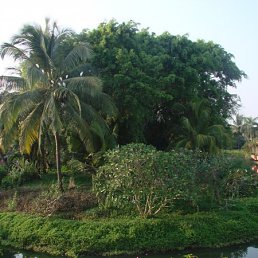 Артём, Одесса