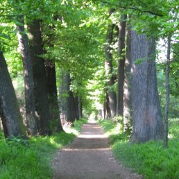 Сергей, Усть-Каменогорск