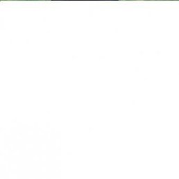 Яна, Кореновск