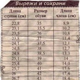 Лена, Звенигово