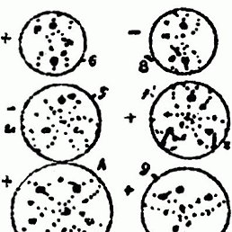 Артем, Санкт-Петербург