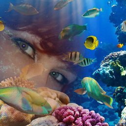 Cветлана, Никольское