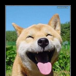 Принцесса, Светловодск