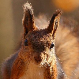 Лариса, Волгоград