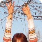 Gul`kin, Дмитров