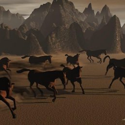 Анюта, Чебоксары