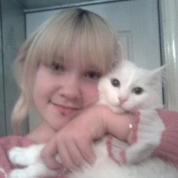 Алан, Алматы