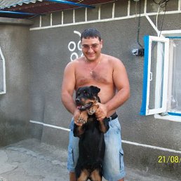 Проли, Киров