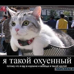 Вячеслав, Алматы