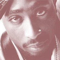 Серый, Санкт-Петербург