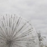 Анастасия, Новочебоксарск