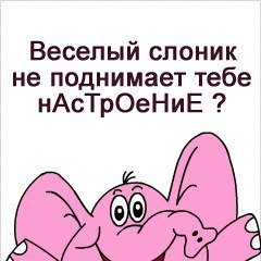 Наташа, Киев