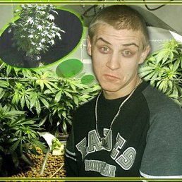 Вадим, Киев