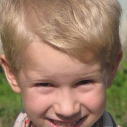 Грифан, Киев