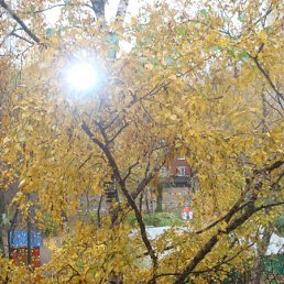 Ирина, Гомель