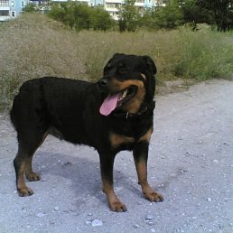 Aziza, Москва
