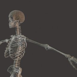 Андрей, Москва