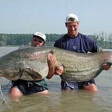 Андрей, Одесса